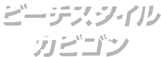 ビーチスタイル-カビゴン