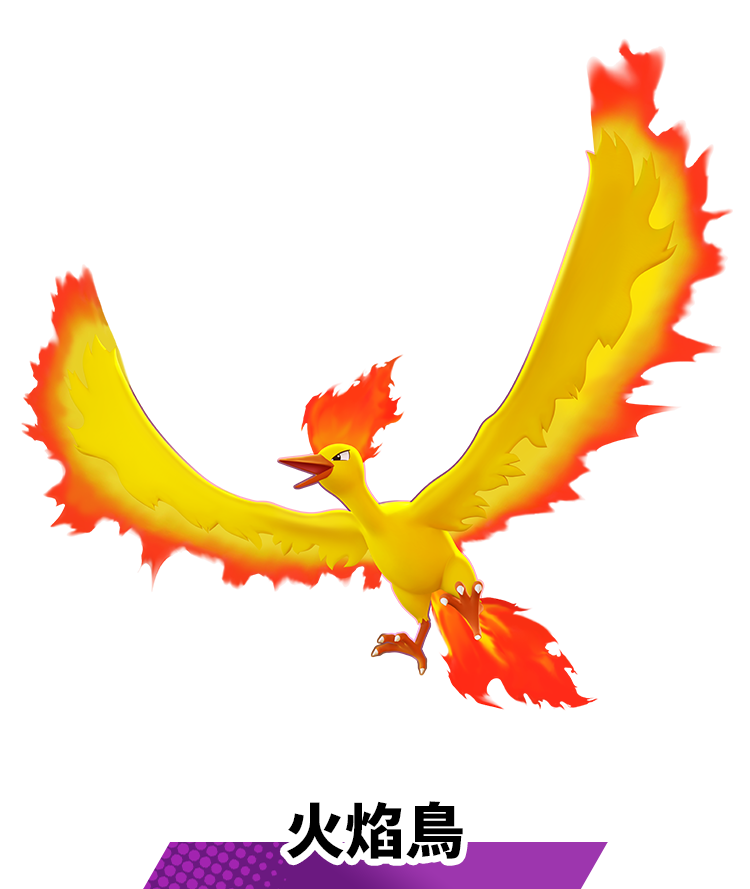 火焰鳥