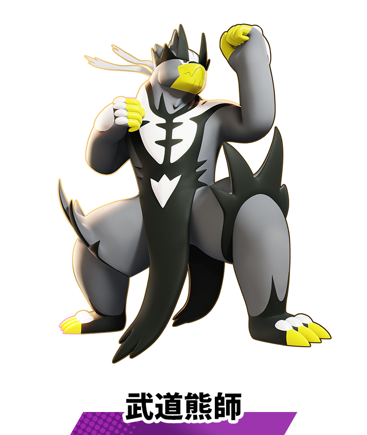 武道熊師